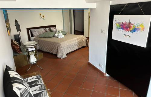 [Historic Center] Via Po Apartment - Foto 43