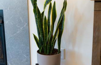 Lakeside Crest Estate Cottages - Foto 13