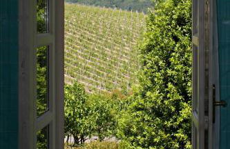 La Giribaldina Winery & Farmhouse - Foto 37