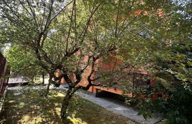 Alice Nel Paese Delle Meraviglie - Foto 16