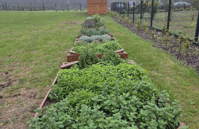 Siedlisko Milachowo luxury wellness - Photo 77