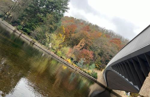 Dunmallet - Pooley Bridge - Foto 8