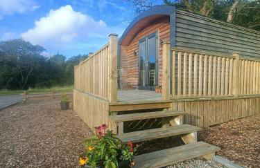 'Cosy Gem' Cabin Woodland Retreat Randalstown NI - Foto 29