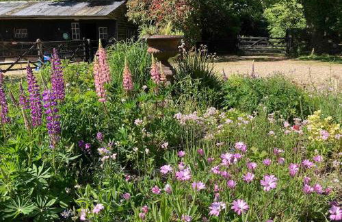 Holmans NEW FOREST - Photo 49