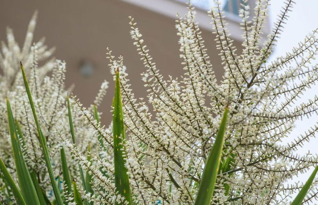 Kyveli Apartments - Photo 89