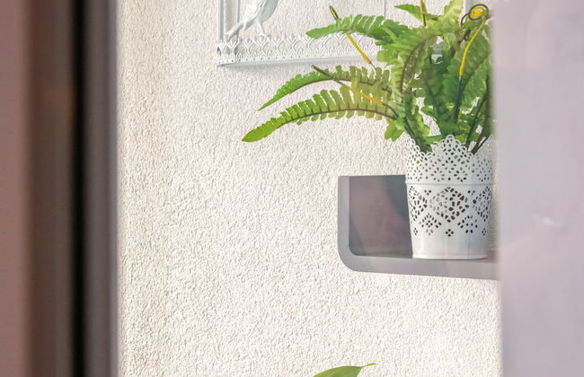 Flieder (F 96) - Photo 23