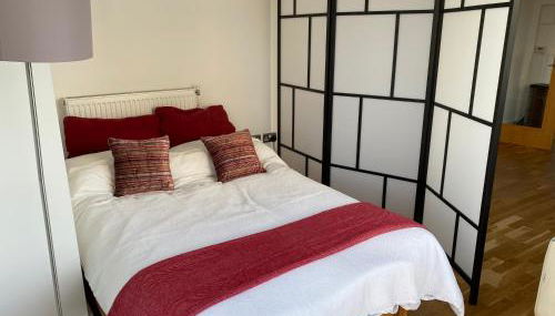 River view spacious apartment - Foto 5