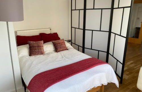 River view spacious apartment - Foto 5