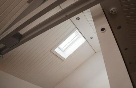 Schön Hier - im Harz - Foto 58