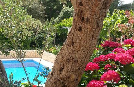 Apartments Antonio - Foto 39