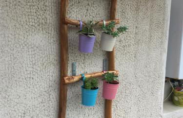 Il cipresso - Photo 26