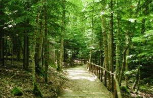 Casa di Emilia - Foto 46