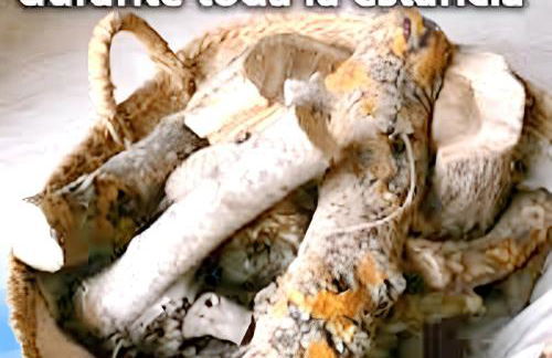 Charming House in Estepa with Shared Pool - Photo 15