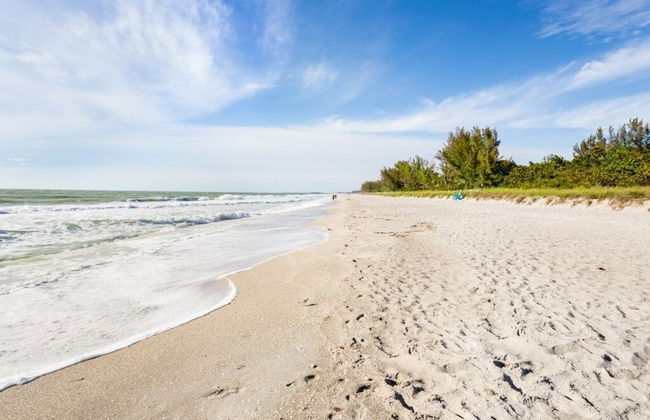 Bird Of Paradise 4 Bedroom Home by RedAwning - Foto 26