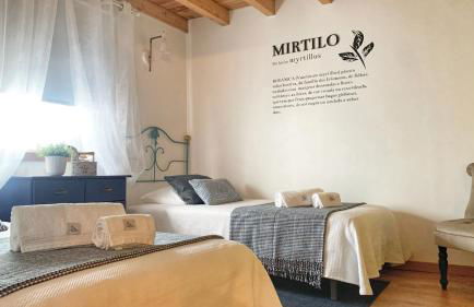 Quinta Vale Salgueiro - Foto 2