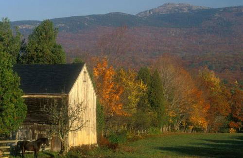 Luxury Farm Stay-Bonds Corner Bungalow-Wolf Pine Hollow - Foto 20