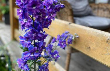 Wakacyjny Dom w Sakach - Foto 14