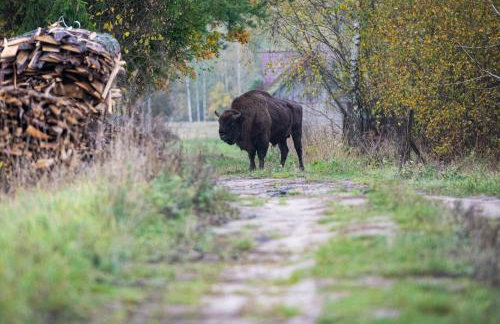 Agroturystyka u Wojtka - Foto 27