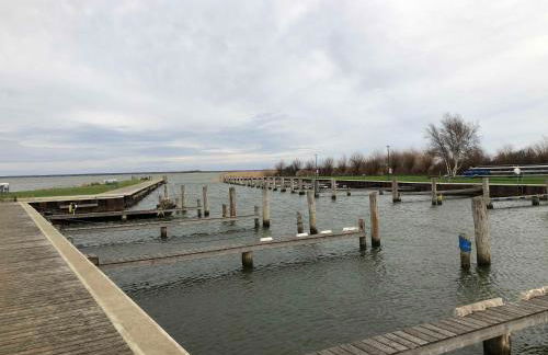Ferienhaus am Saaler Bodden - Foto 20