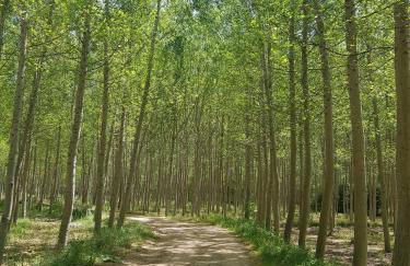 Casa Rural Casa Clemen - Foto 31