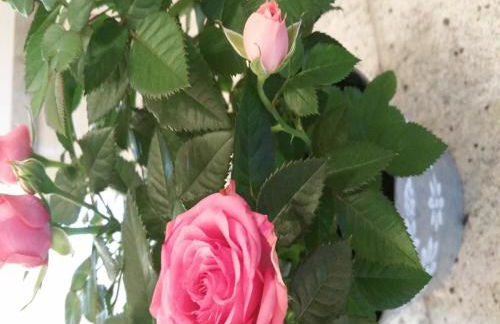 Modern apartment with 2 bathrooms in Lirstal - Foto 7