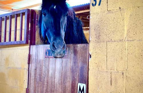 DescubreHome La Casa del Medico - Foto 24