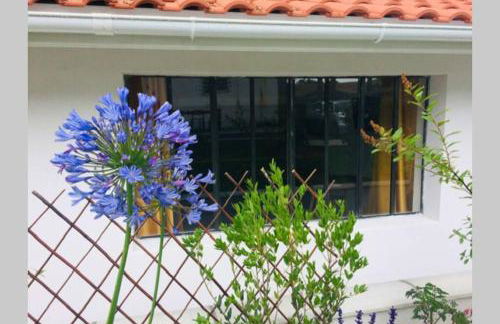 L'annexe des Cigales, à l'ombre des chênes lièges - Foto 25