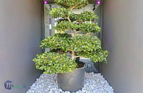 Villa Bonsai - Foto 112