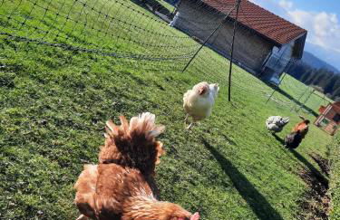 Ferienwohnung am Wirtshof - Foto 27