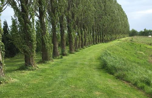 Ferienwohnung LATERNENSTUBE mit Familienbett - 8 Pers - Rittergut Leppersdorf vor Radeberg bei Dresden - Foto 23