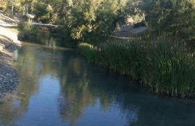 Cueva de la abuela - Foto 30