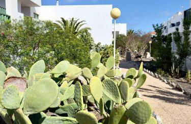 Casita perla blanca - Foto 33