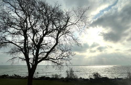 Ferienwohnung Refugium mit direktem Ostseeblick - Foto 12