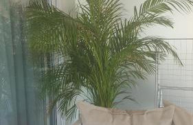 Ormos Luxury Suites Ammos - Photo 14