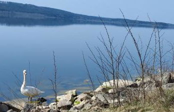 Loft mit Weiherblick im fränkischen Seenland - Foto 18