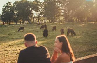 Krovacja - całoroczne domki w Puszczy Noteckiej - Foto 12
