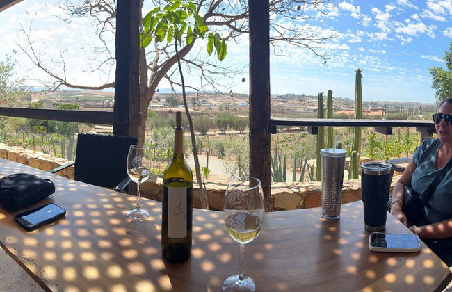 Private Deluxe Wine Tour to Valle de Guadalupe by Luxury Vehicle - Photo 22