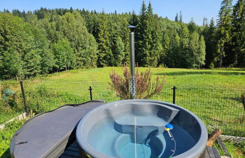 Chata góralska Wojtasówka - Foto 8