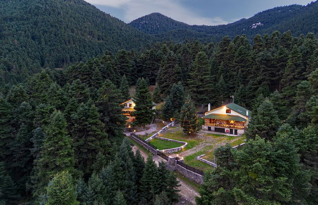 Dandy Villas Elatodasos Chalet Artemis - Foto 1