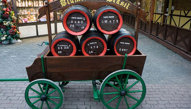 Blumenau & Pomerode Excursion - Foto 4