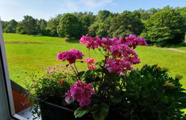 Fewo D und R Schwesternherz - Foto 13