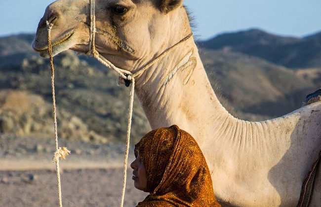 Crociera di 4 notti Luxor, Assuan, Abu Simbel, mongolfiera e tour in autobus da Hurghada - Foto 35