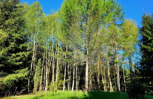 Dom Malarki - Foto 33