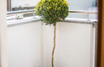 RESIDENCE LEONARDO - Photo 22