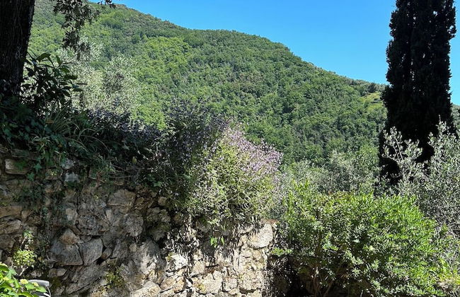 Peralta Tuscany - Foto 70