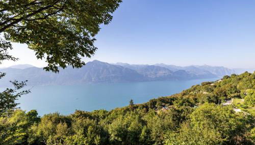 Villa Franca San Zeno - Foto 2