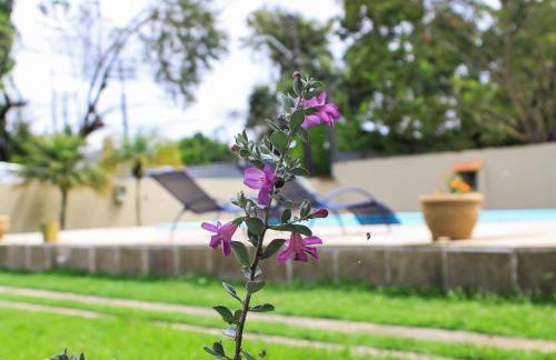 Piscina,Paz e Área Verde - Foto 3