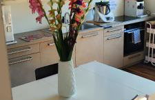 ChiliVanilli Erdgeschoss - Foto 6