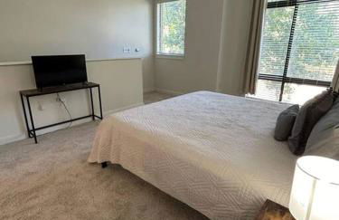 1 Bedroom Studio Townhouse in Uptown Charlotte - Foto 16