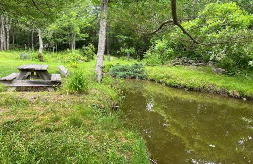 Falls Farmstead 1865 Ellis House Cozy and Comfy Apt #1 - Foto 21